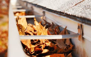 Cowie gutter cleaning companies