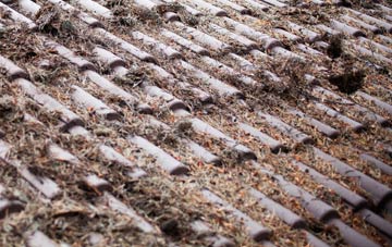 Cowie roof cleaning companies