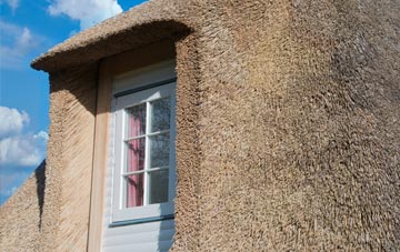 Cowie thatch roof disadvantages